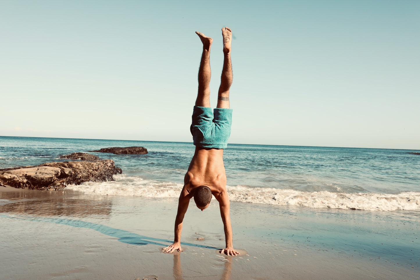 The Board Short - Plush Terry